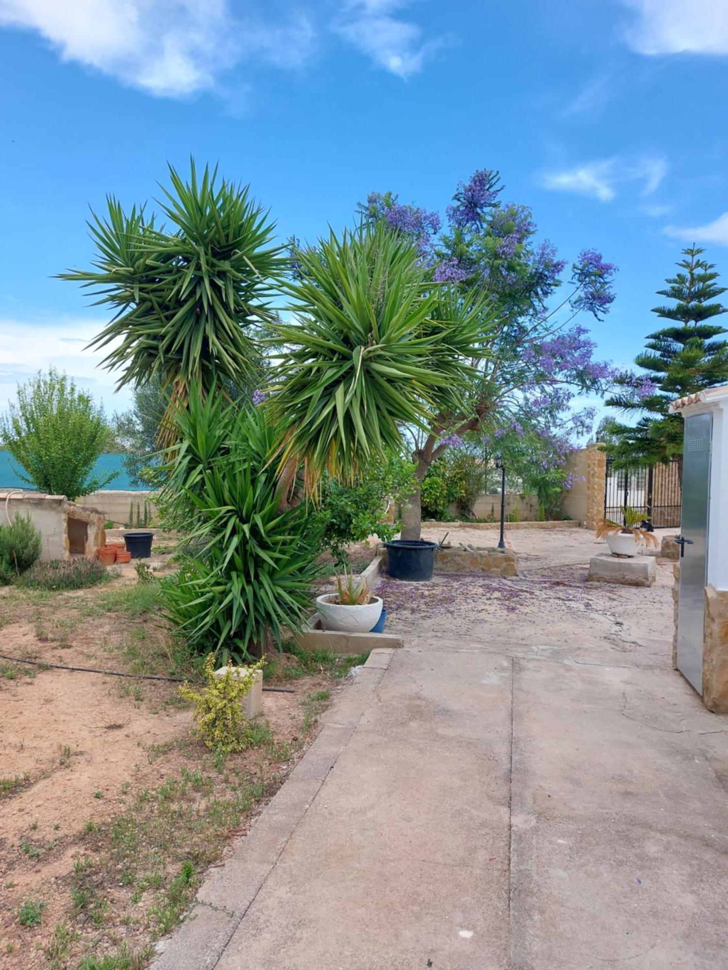 Les Berreries Montroy Exterior foto