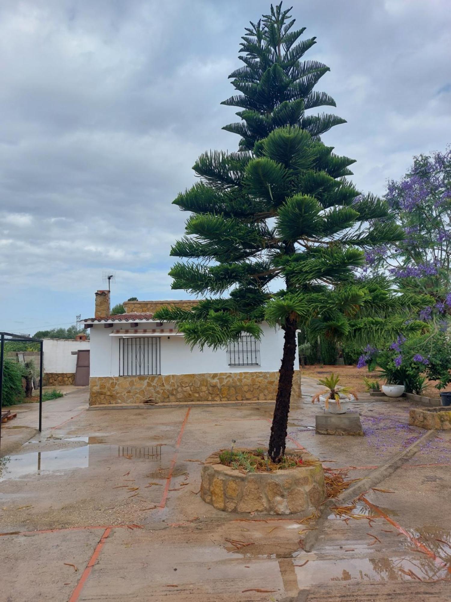 Les Berreries Montroy Exterior foto
