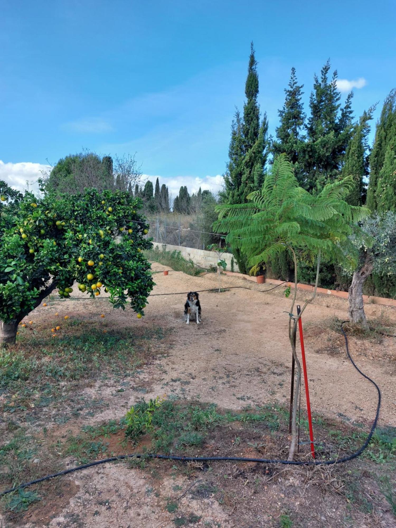 Les Berreries Montroy Exterior foto